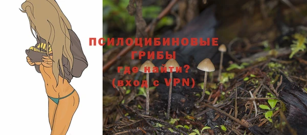 марки lsd Балахна
